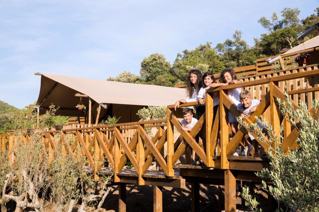 Sea Glamping Hotel Kotor Eksteriør billede